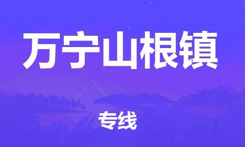 顺德区到万宁山根镇物流专线-顺德区至万宁山根镇货运,顺德区到万宁山根镇货运物流