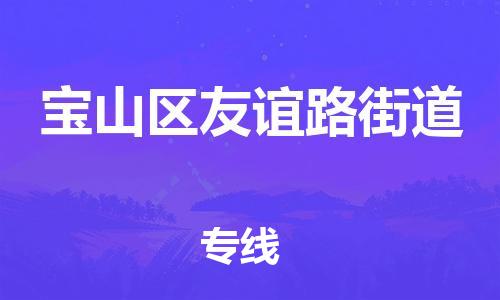 番禺区到宝山区友谊路街道物流专线-番禺区至宝山区友谊路街道运输公司-番禺到华东物流