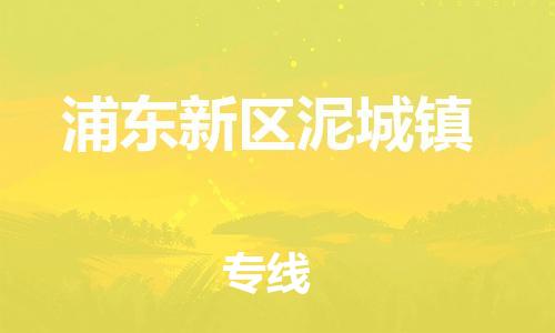 番禺区到浦东新区泥城镇物流专线-番禺区至浦东新区泥城镇运输公司-番禺到华东物流