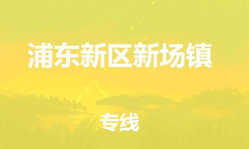 番禺区到浦东新区新场镇物流专线-番禺区至浦东新区新场镇运输公司-番禺到华东物流
