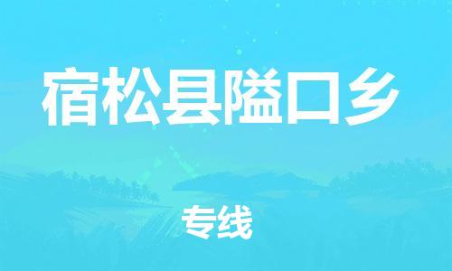 番禺区到宿松县隘口乡物流专线-番禺区至宿松县隘口乡运输公司-番禺到华东物流