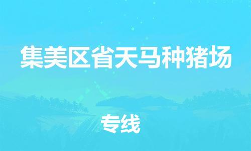番禺区到集美区省天马种猪场物流专线-番禺区至集美区省天马种猪场运输公司-番禺到华东物流