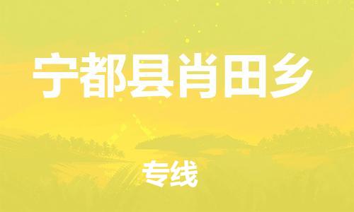 番禺区到宁都县肖田乡物流专线-番禺区至宁都县肖田乡运输公司-番禺到华东物流